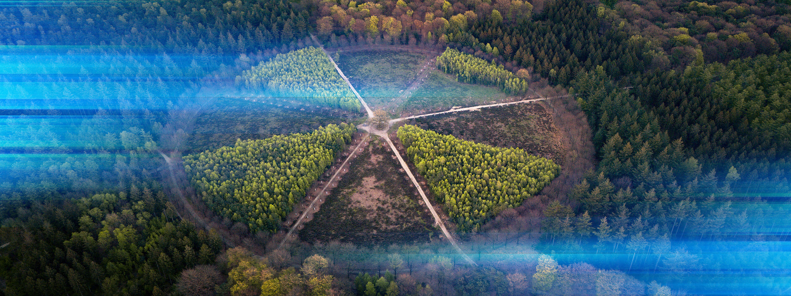 Straatbeeld Utrechtse Heuvelrug